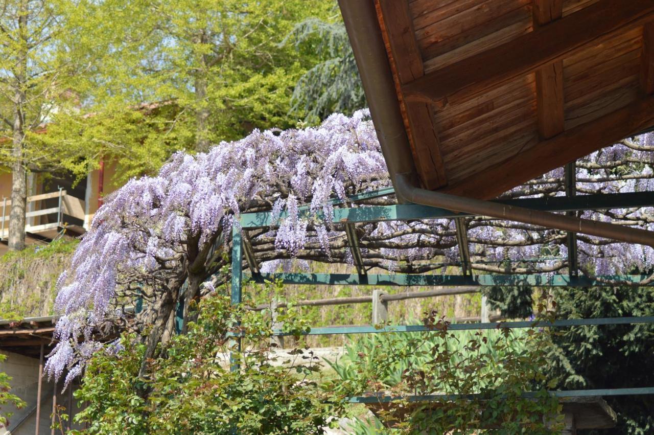L'Uovo E La Faina Bed and Breakfast Busca Εξωτερικό φωτογραφία